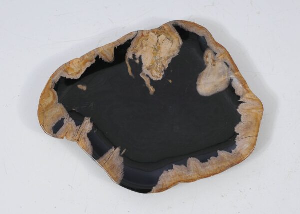 Plate petrified wood 57332