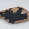 Plate petrified wood 57332