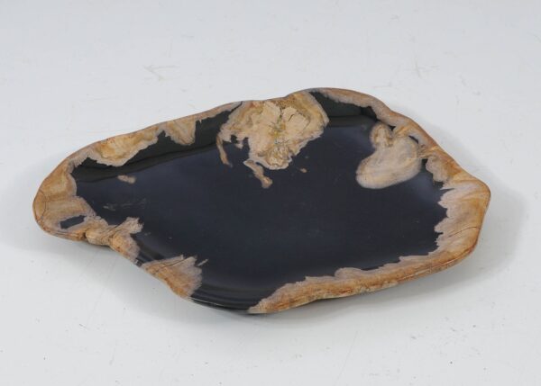 Plate petrified wood 57332