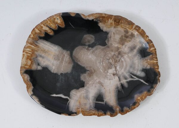 Plate petrified wood 57333