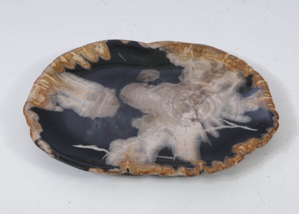 Plate petrified wood 57333