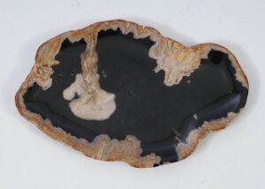 Plate petrified wood 57334