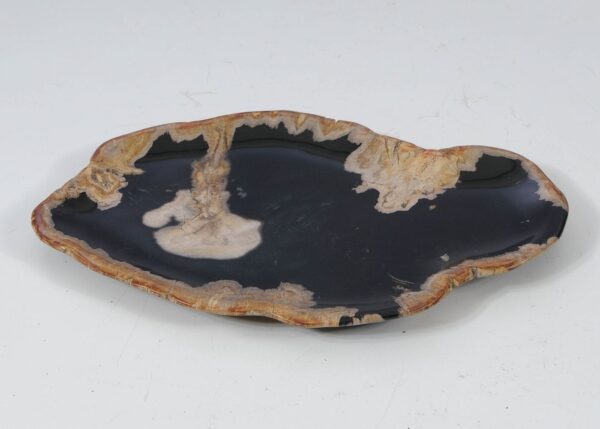 Plate petrified wood 57334