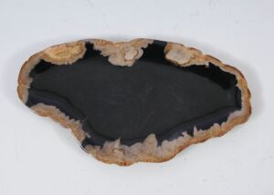 Plate petrified wood 57335