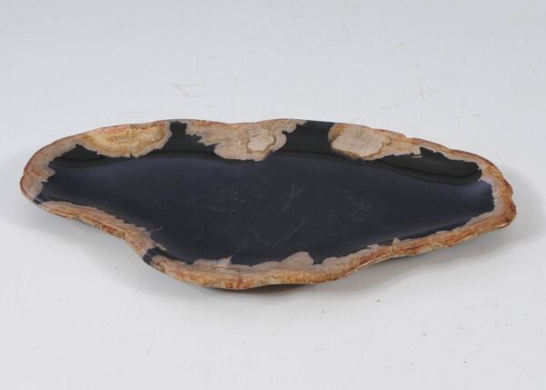 Plate petrified wood 57335