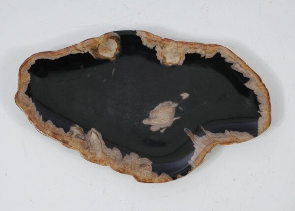 Plate petrified wood 57336