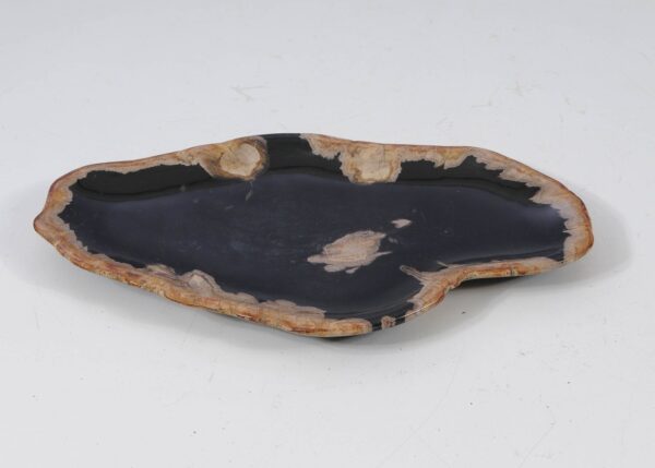 Plate petrified wood 57336