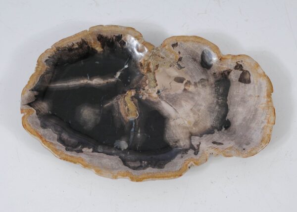 Plate petrified wood 57337