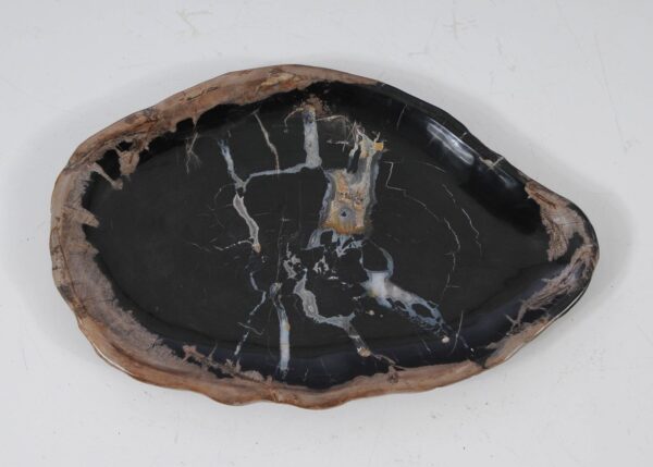 Plate petrified wood 57338