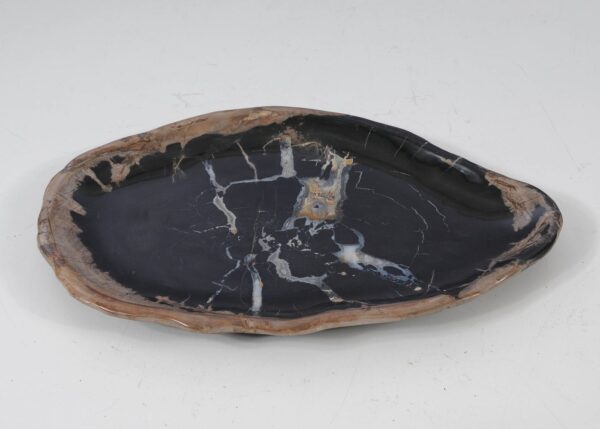 Plate petrified wood 57338