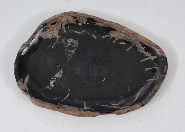 Plate petrified wood 57339