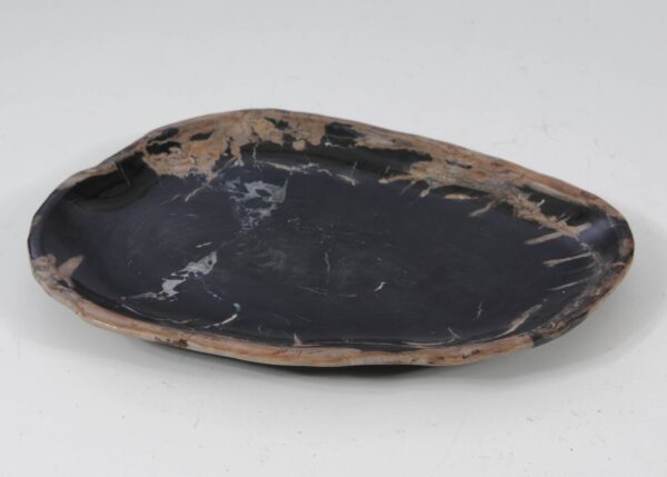 Plate petrified wood 57339