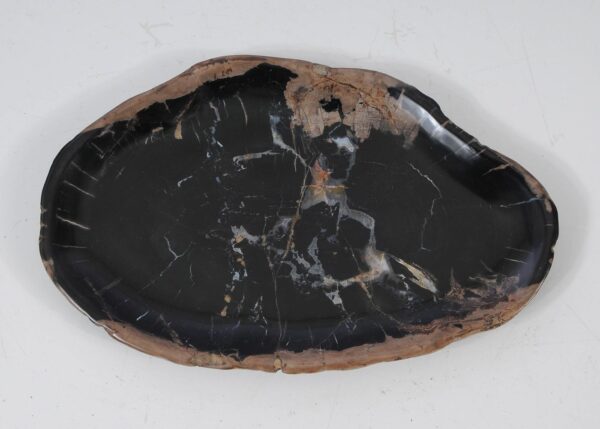 Plate petrified wood 57340