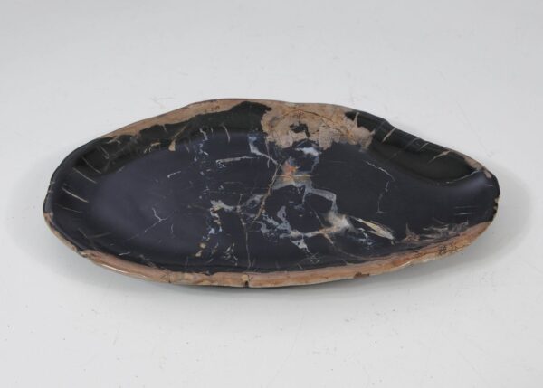 Plate petrified wood 57340