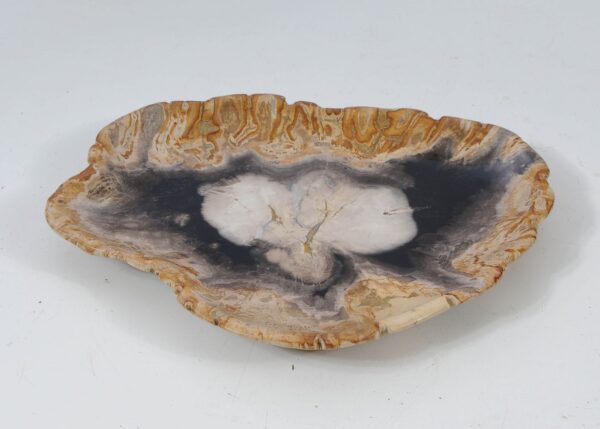 Plate petrified wood 57342