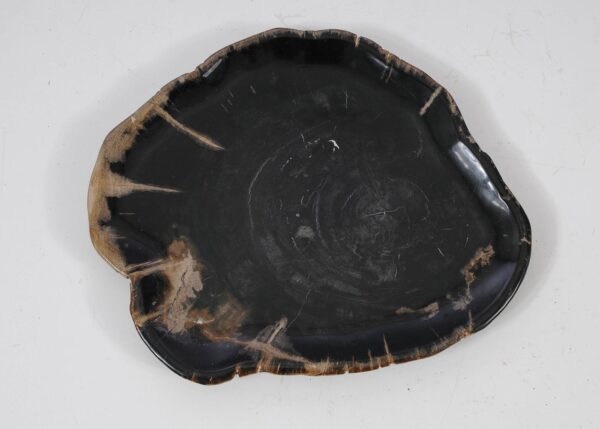 Plate petrified wood 57343