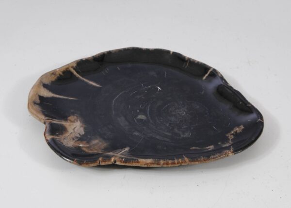 Plate petrified wood 57343