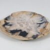 Plate petrified wood 57344