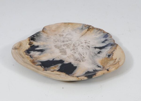 Plate petrified wood 57344