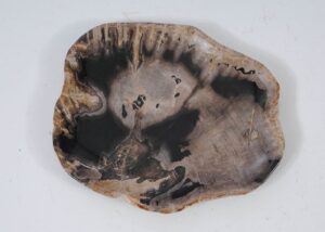 Plate petrified wood 57346