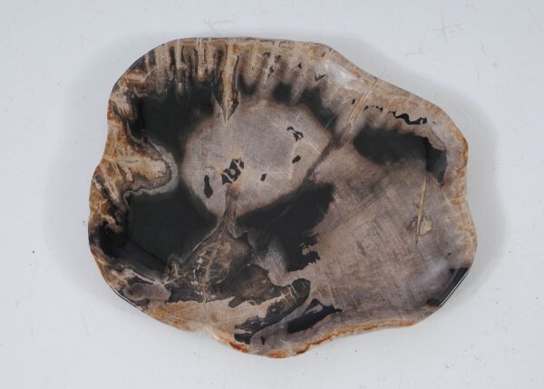 Plate petrified wood 57346