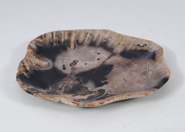 Plate petrified wood 57346