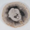 Plate petrified wood 57349