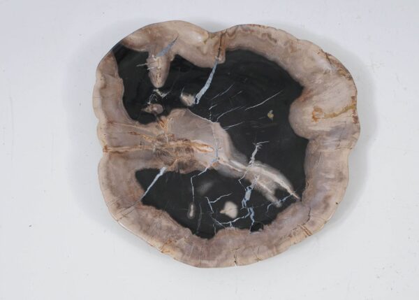 Plate petrified wood 57351