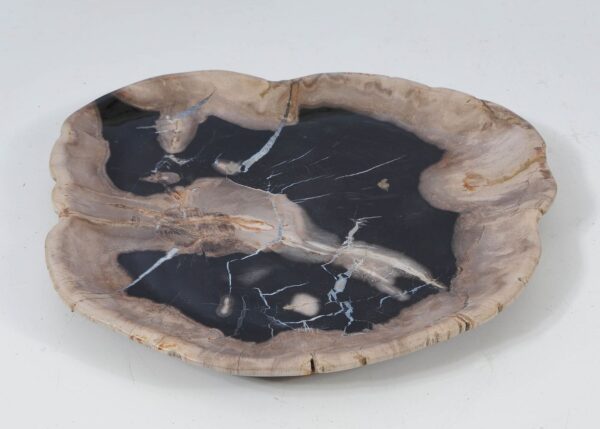 Plate petrified wood 57351