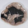 Plate petrified wood 57352