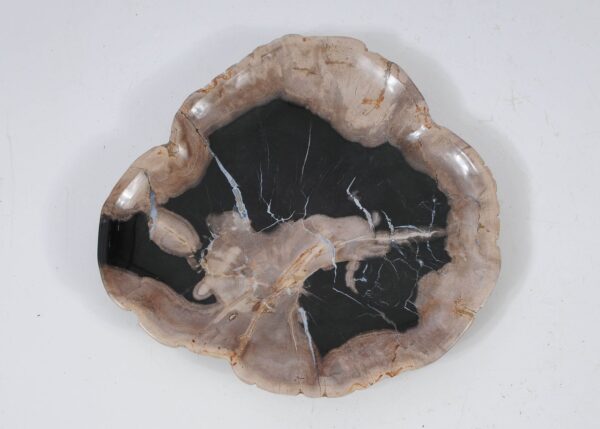 Plate petrified wood 57352