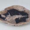 Plate petrified wood 57352