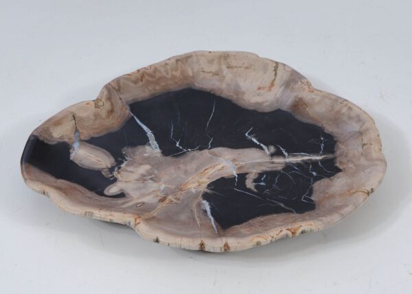 Plate petrified wood 57352