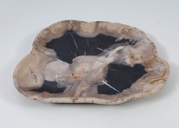 Plate petrified wood 57353