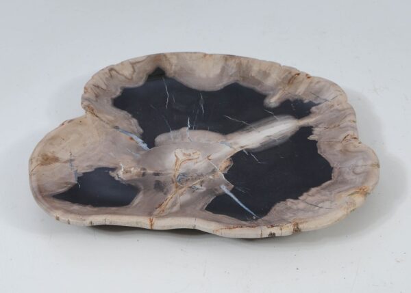 Plate petrified wood 57354