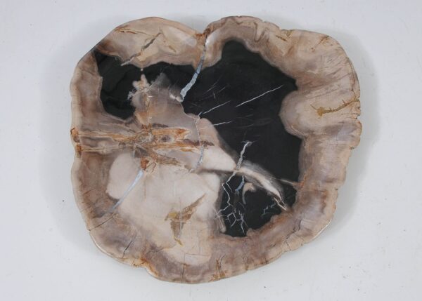 Plate petrified wood 57355