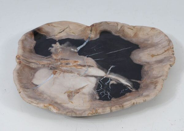 Plate petrified wood 57355