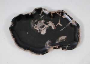 Plate petrified wood 57356