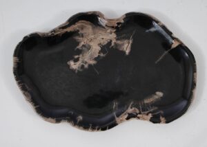 Plate petrified wood 57357