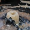 Bol madera petrificada 56010