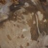 Plato madera petrificada 56029