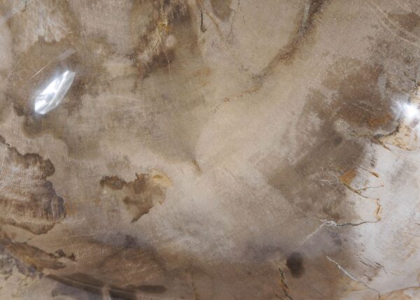 Bol madera petrificada 57003