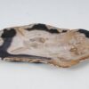 Plato madera petrificada 57325