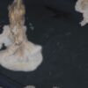 Plato madera petrificada 57334