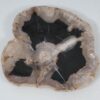 Plato madera petrificada 57354