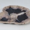 Plato madera petrificada 57354