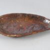 Schale versteinertes Holz 56255
