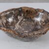 Schale versteinertes Holz 56288