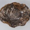 Schale versteinertes Holz 56288