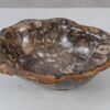 Schale versteinertes Holz 56288